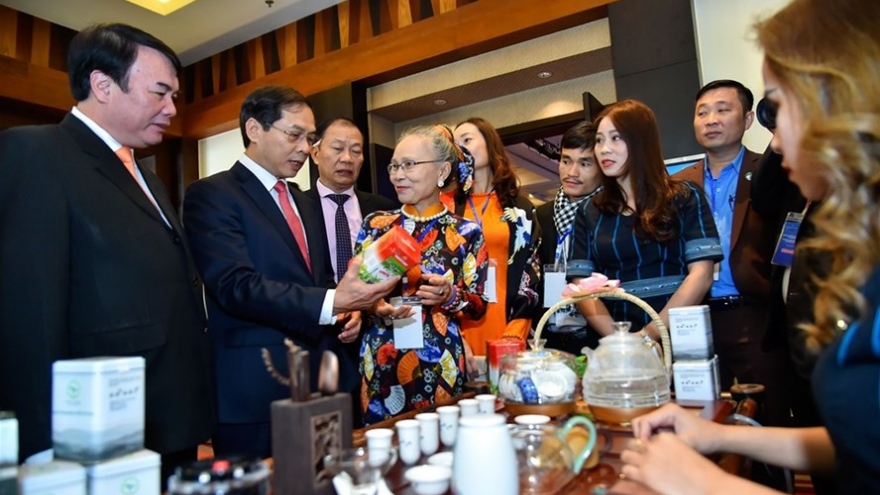 Long-term prospects for Vietnamese ties with Middle East, Africa